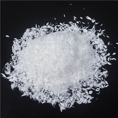 Polyester fiber for Papermaking